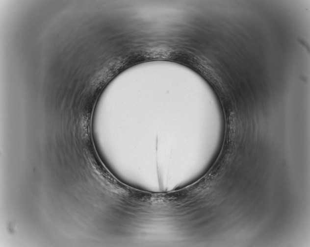 X0000099300641200805301134