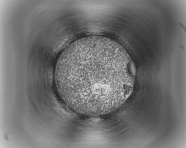 X0000099300642200805301134
