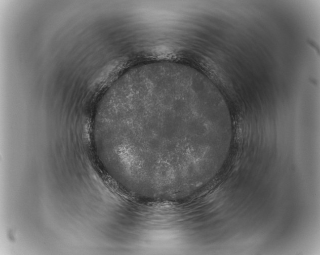 X0000099300643200805301134