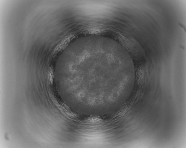 X0000099300644200805301134