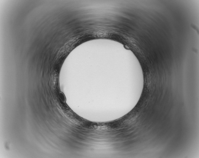 X0000099300645200805301134
