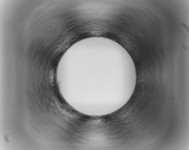X0000099300646200805301134