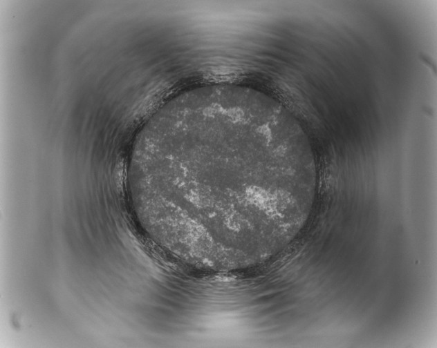 X0000099300647200805301134