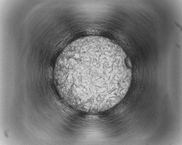 X0000099300649200805301134