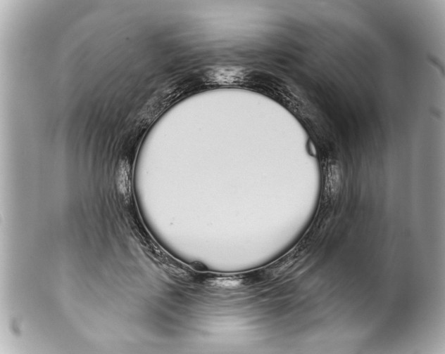 X0000099300651200805301134
