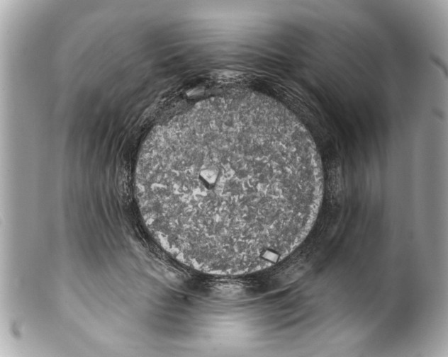 X0000099300653200805301134