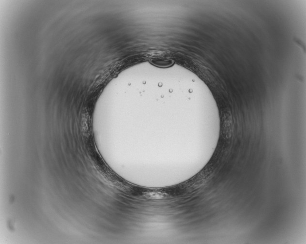 X0000099300654200805301134