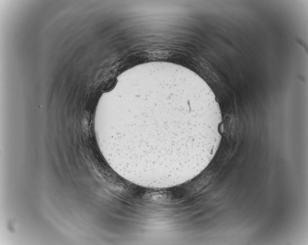 X0000099300655200805301134