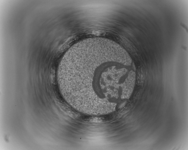 X0000099300656200805301134