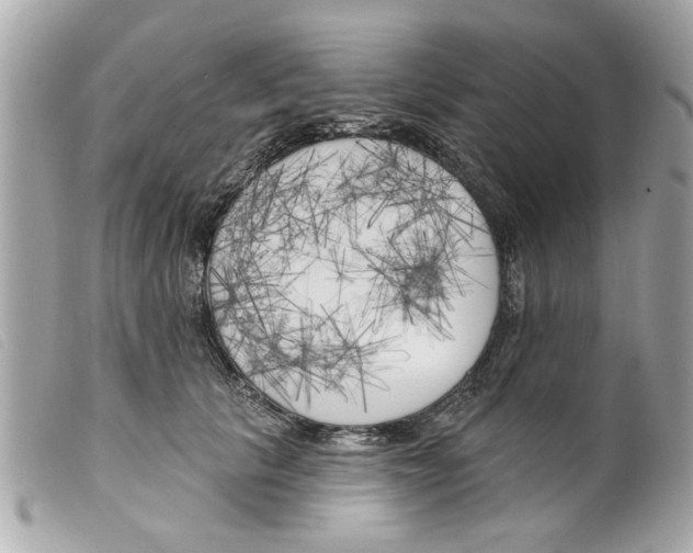 X0000099300657200805301134