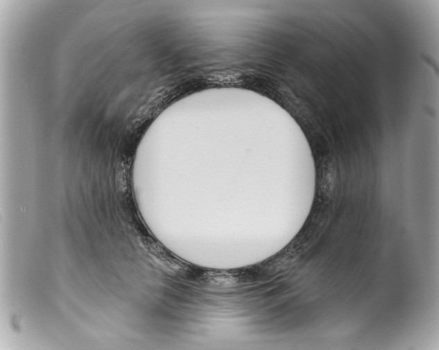 X0000099300658200805301134