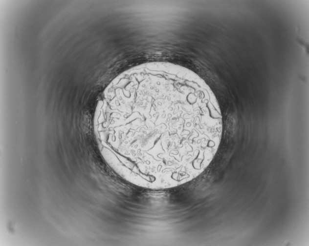 X0000099300659200805301134