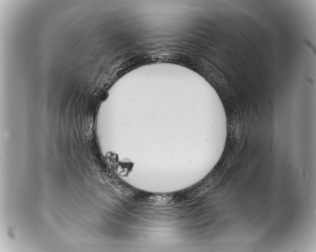 X0000099300660200805301134