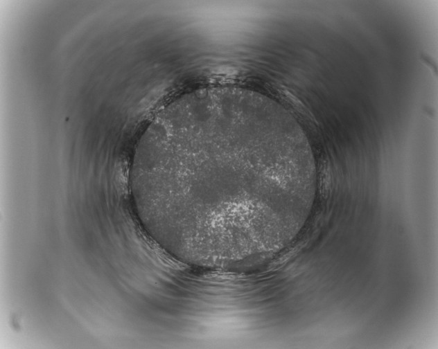 X0000099300661200805301134