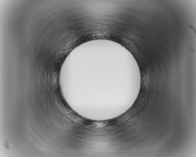 X0000099300662200805301134