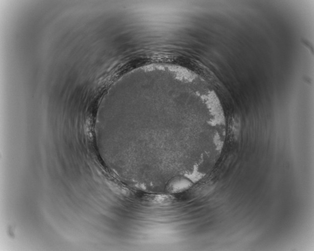 X0000099300663200805301134