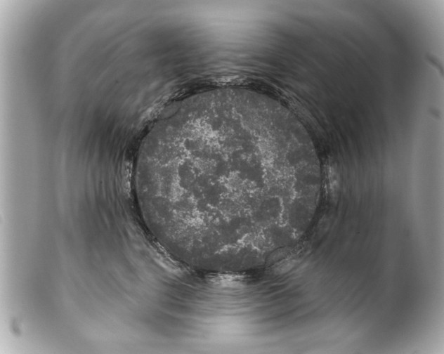 X0000099300664200805301134