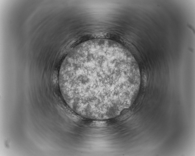 X0000099300665200805301134