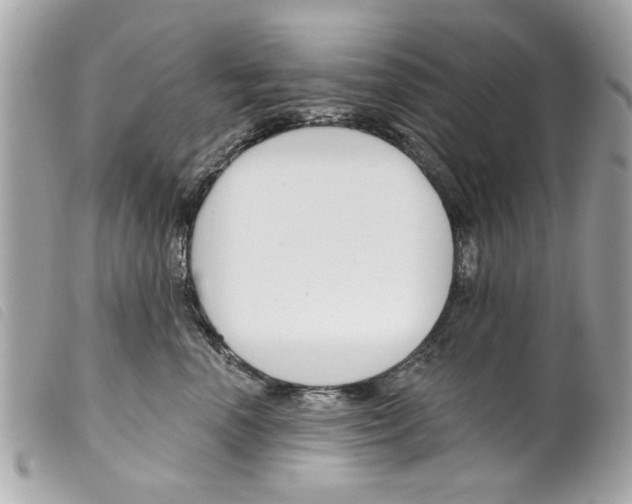 X0000099300666200805301134