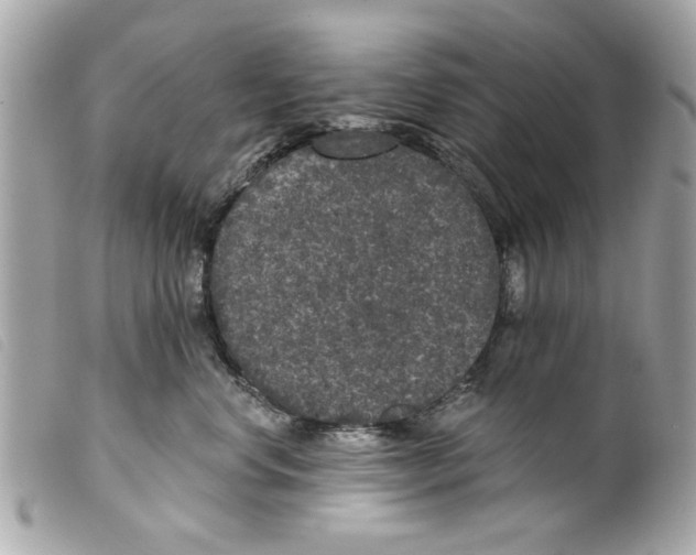 X0000099300668200805301134
