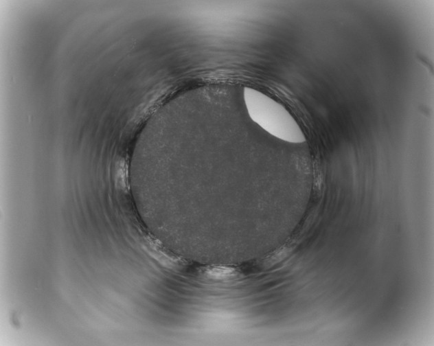 X0000099300669200805301134