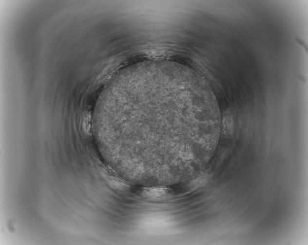 X0000099300671200805301134