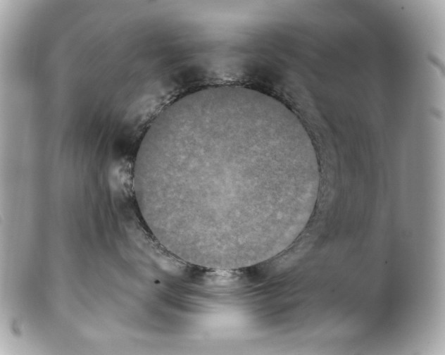 X0000099300672200805301134