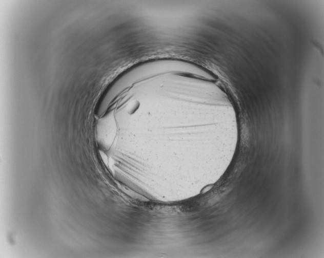 X0000099300673200805301134