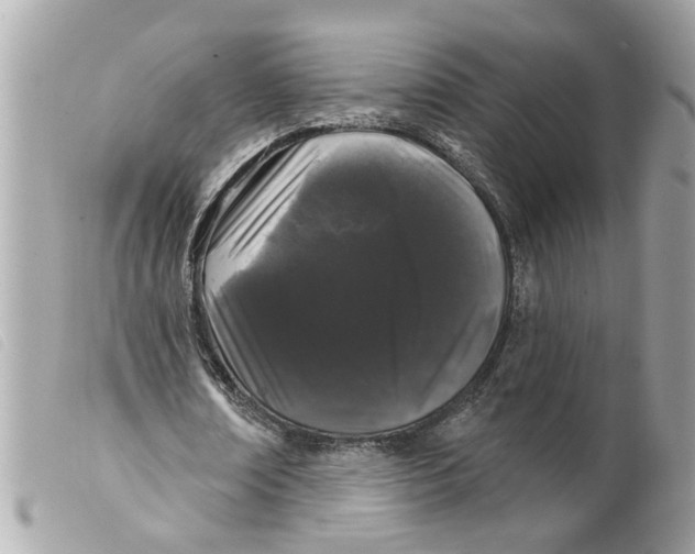 X0000099300674200805301134