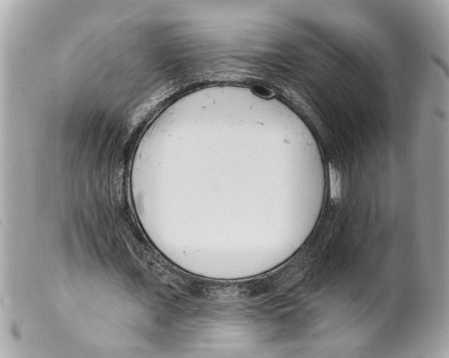 X0000099300675200805301134