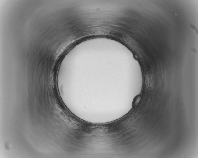 X0000099300676200805301134