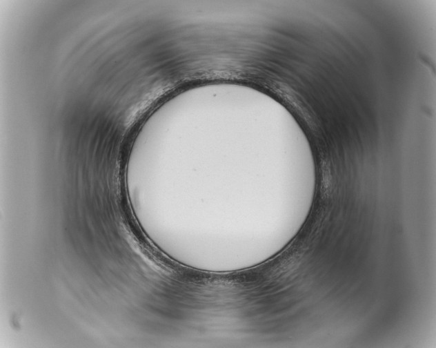 X0000099300677200805301134