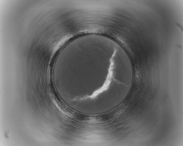 X0000099300678200805301134