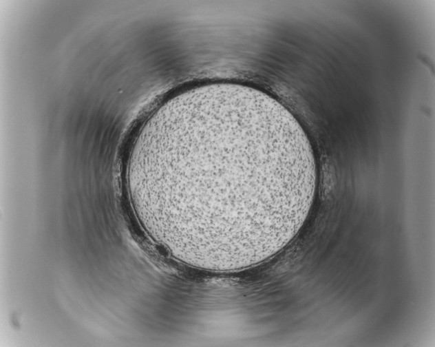 X0000099300680200805301134