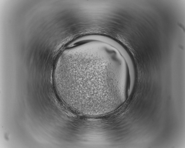 X0000099300681200805301134