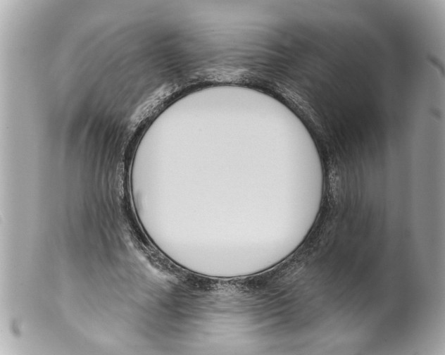 X0000099300682200805301134