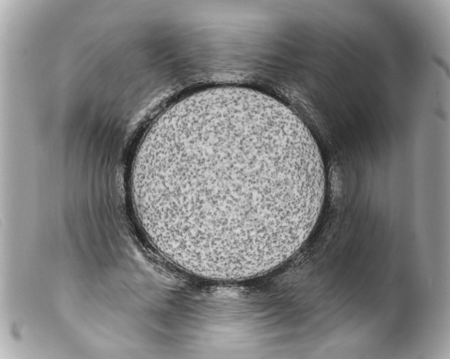 X0000099300684200805301134