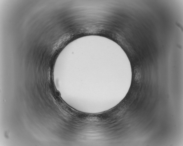 X0000099300685200805301134