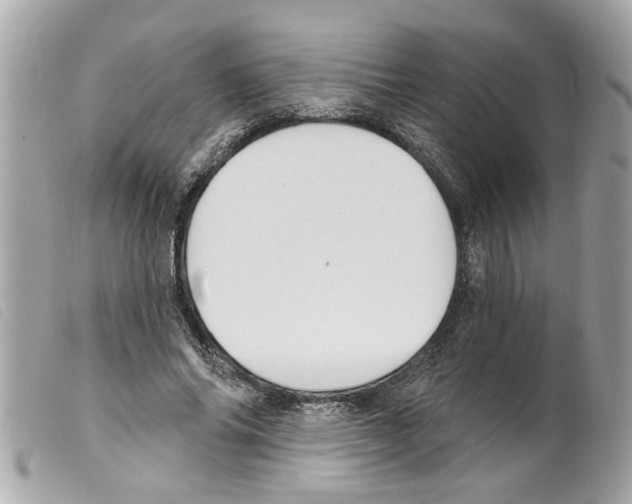 X0000099300686200805301134