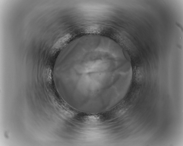 X0000099300692200805301134