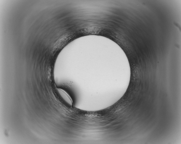 X0000099300693200805301134