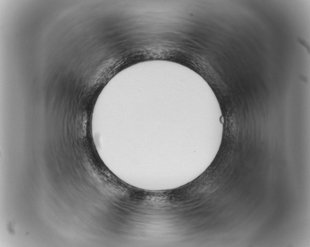 X0000099300694200805301133