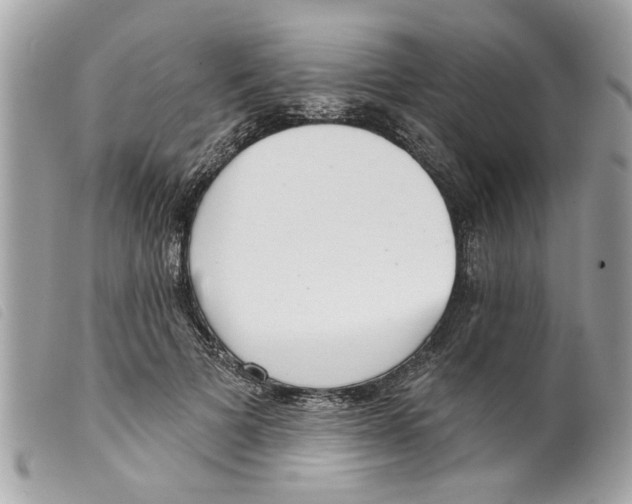 X0000099300697200805301133
