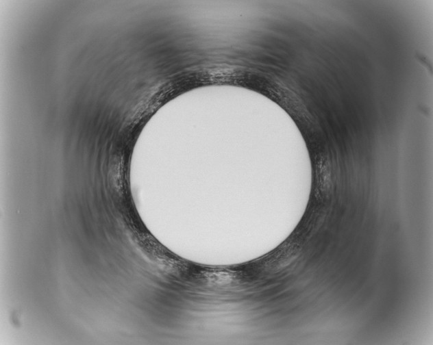 X0000099300698200805301133