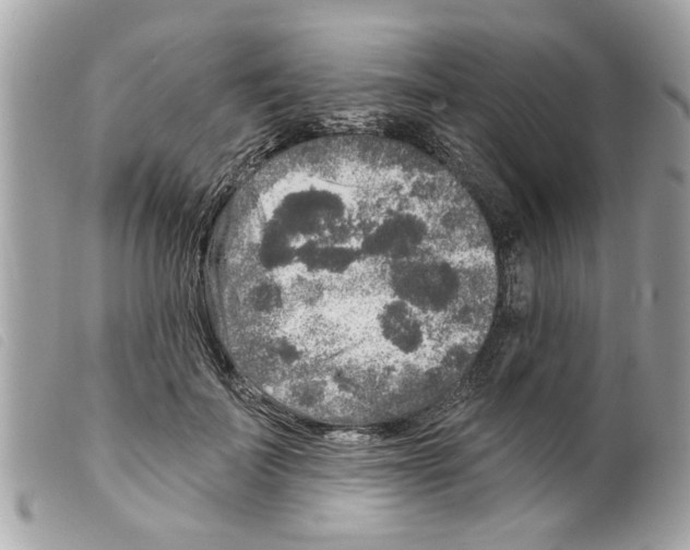 X0000099300699200805301133