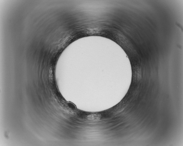 X0000099300700200805301133