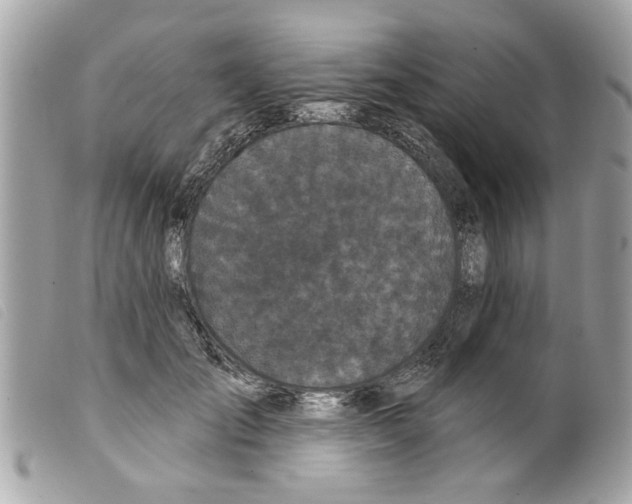 X0000099300701200805301133