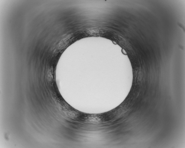 X0000099300702200805301133