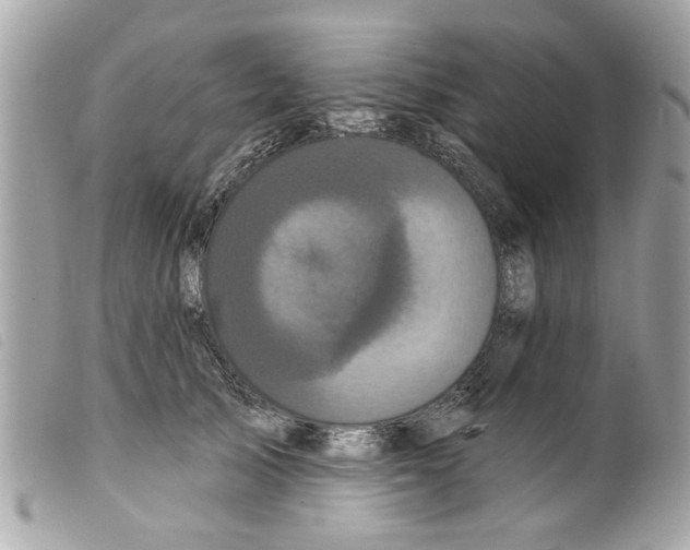 X0000099300705200805301133