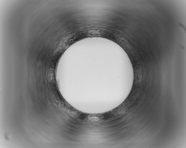 X0000099300706200805301133